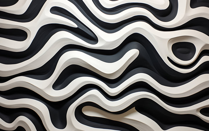 Black and White Wavy Abstract