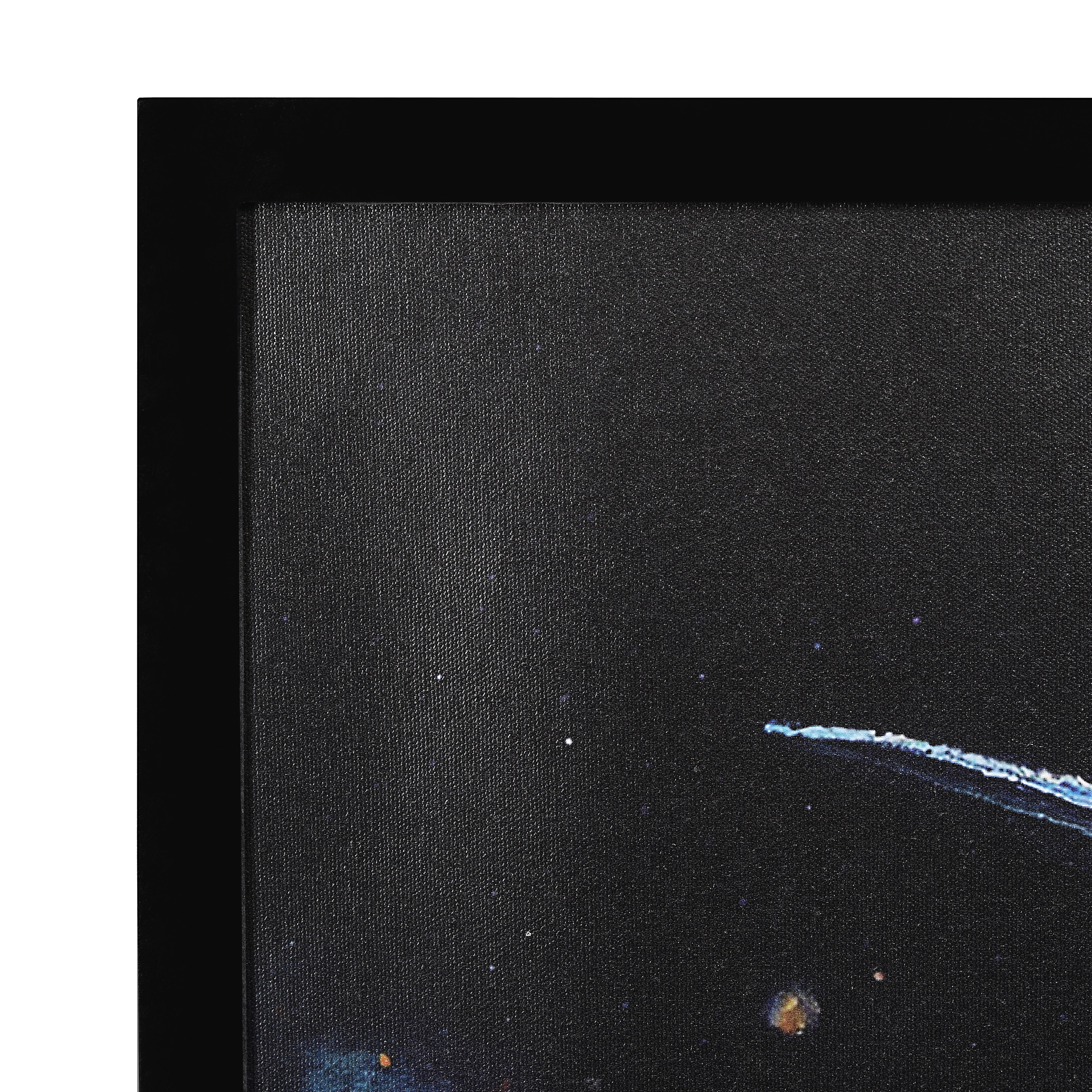 Modern Bird Abstract art Luxury Painting on Canvas