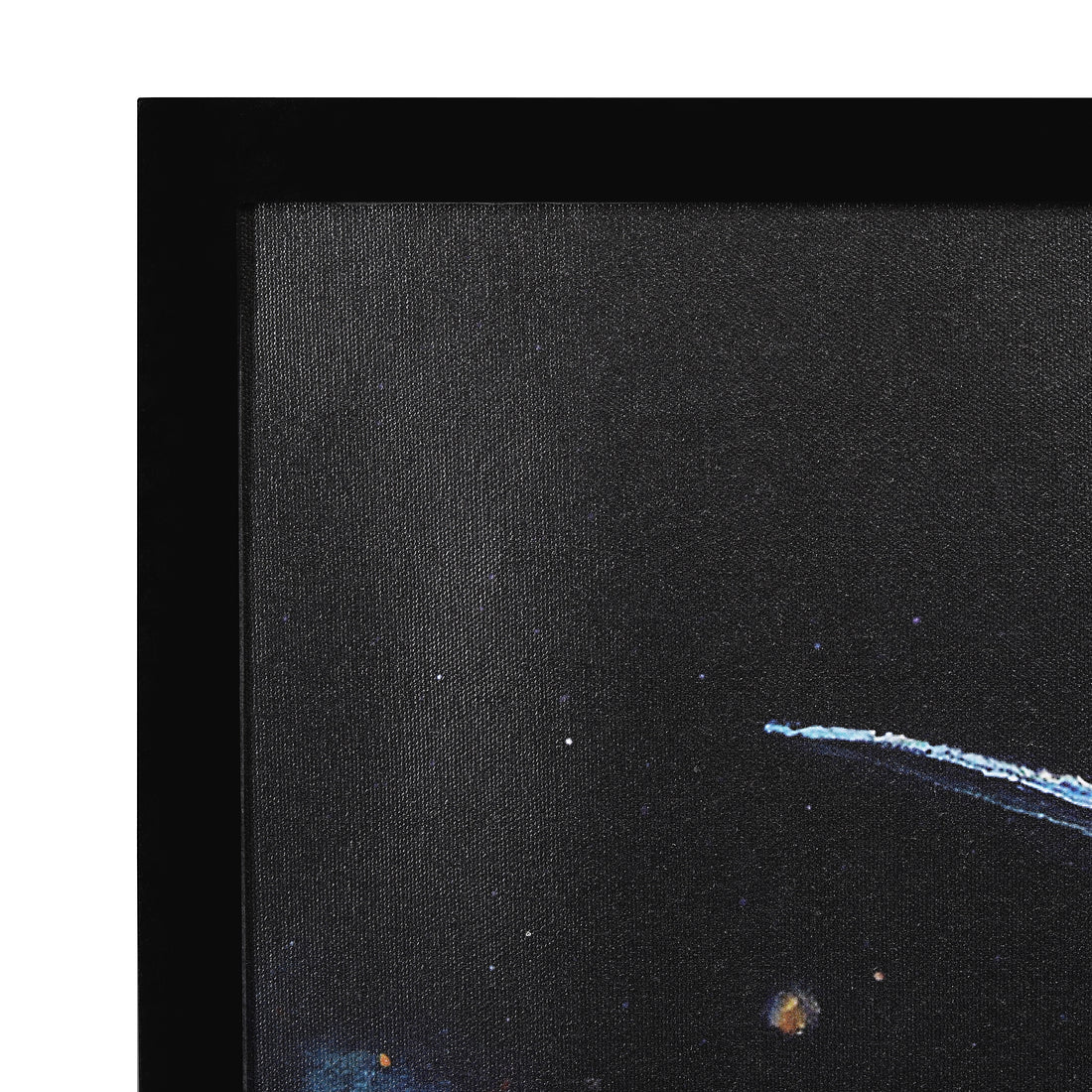 Modern Bird Abstract art Luxury Painting on Canvas