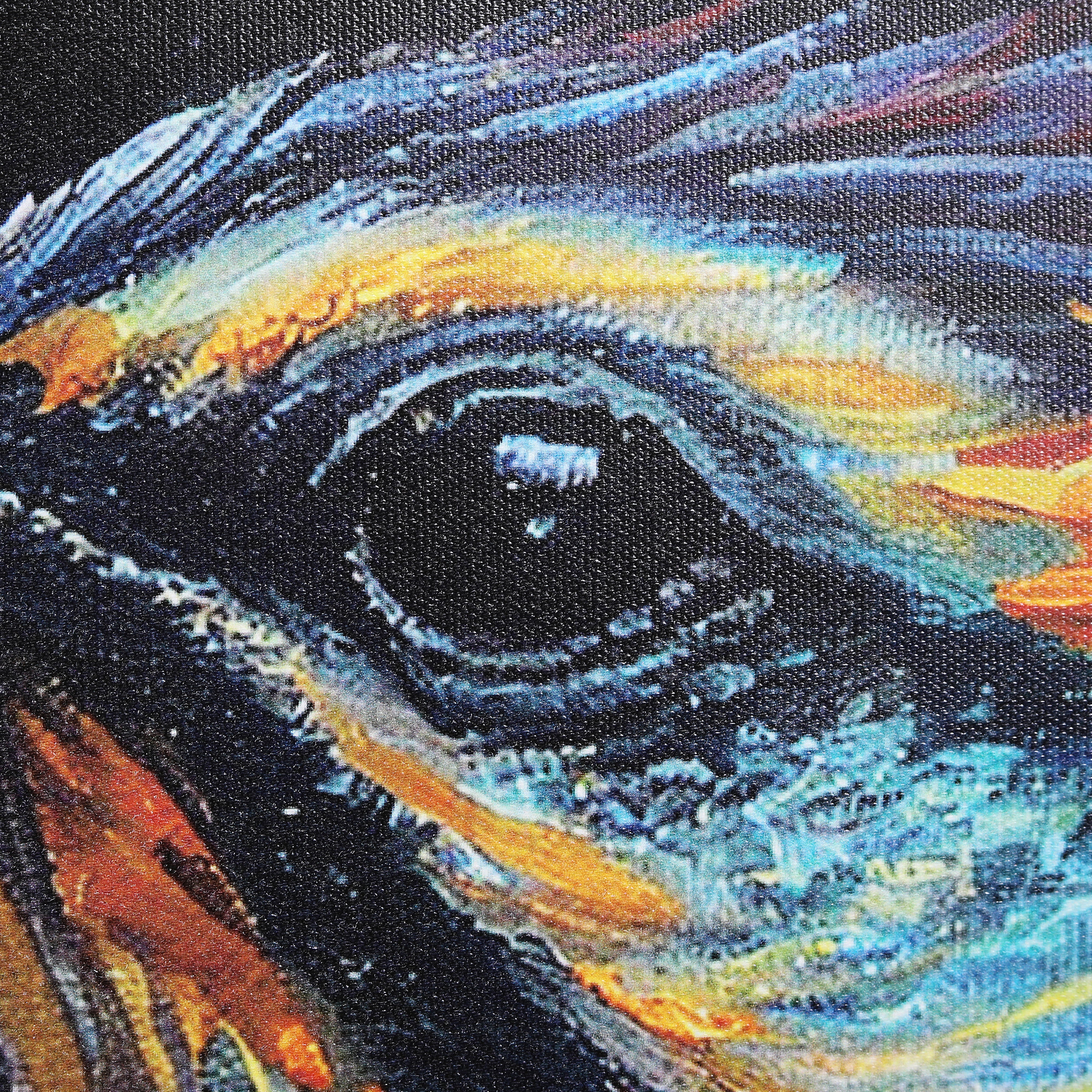 Modern Bird Abstract art Luxury Painting on Canvas