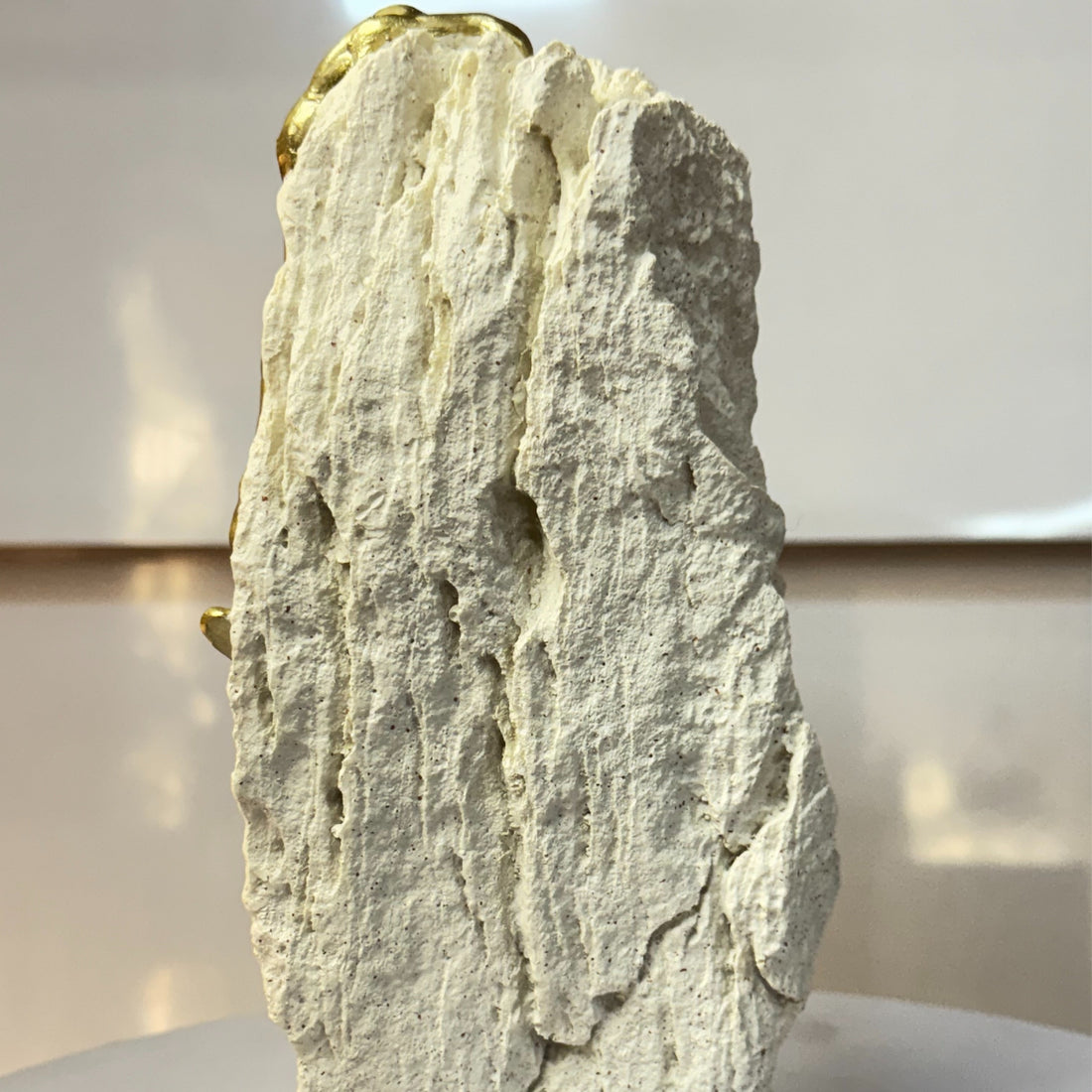 Climbing Life Together