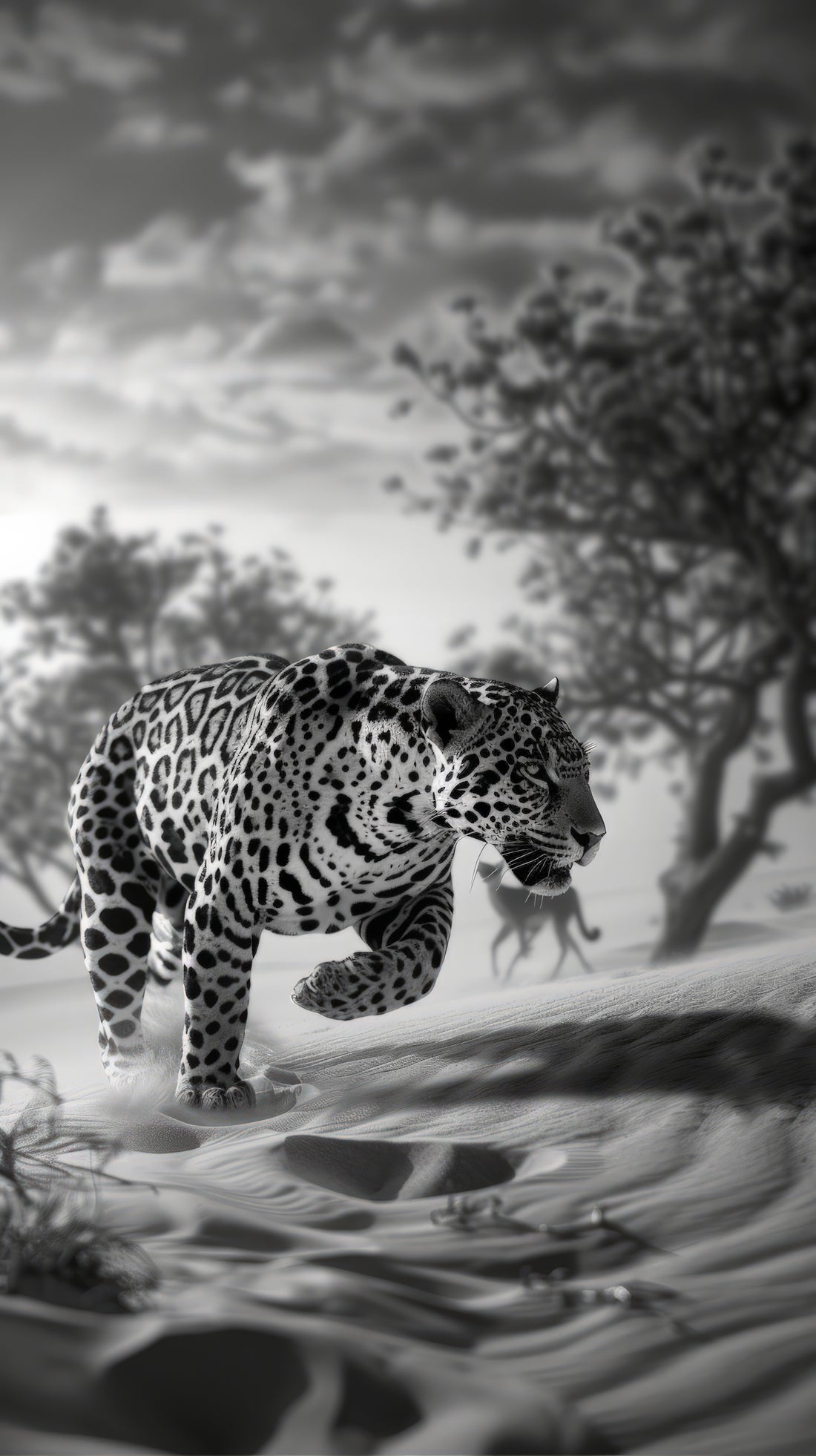 Predator in Forest