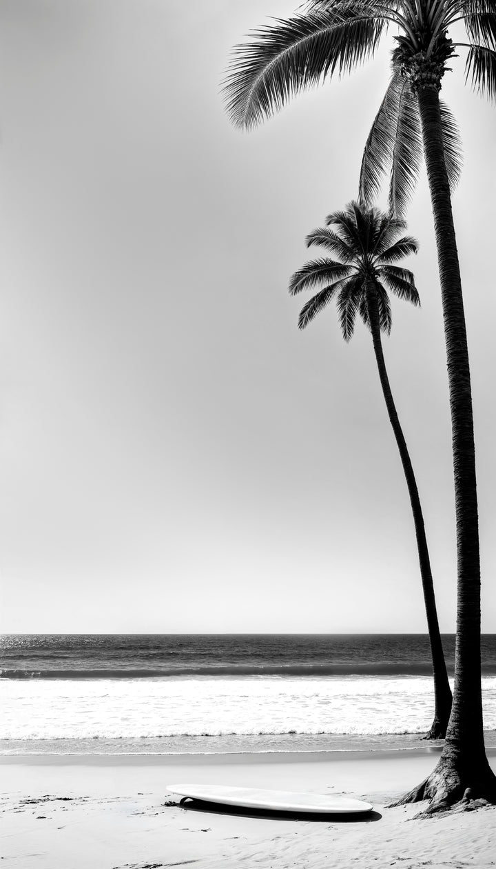 Palm & Horizon