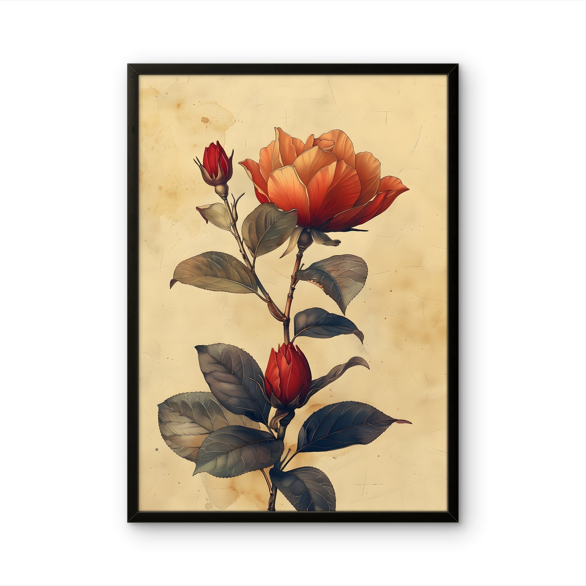 Vintage Red Rose