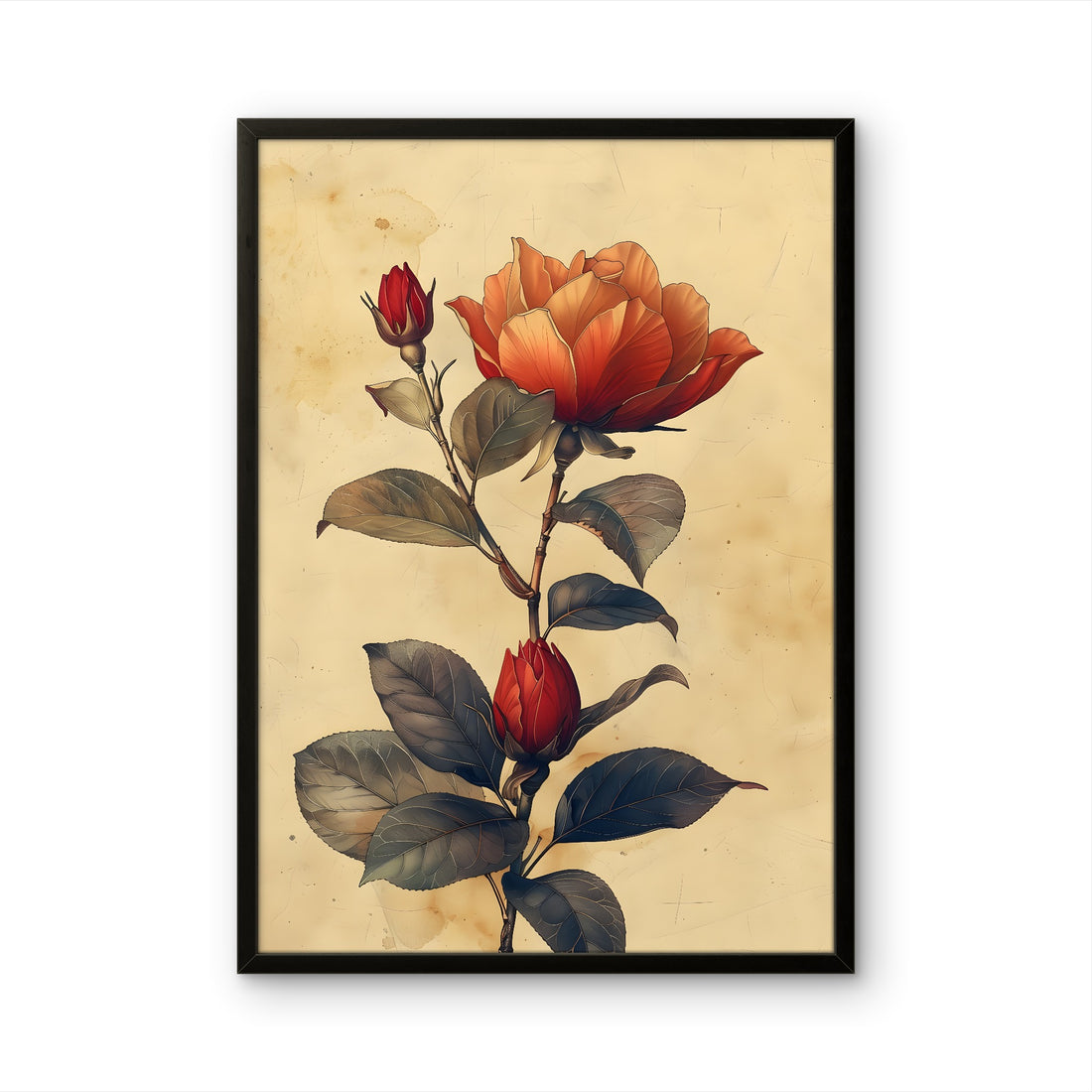 Vintage Red Rose