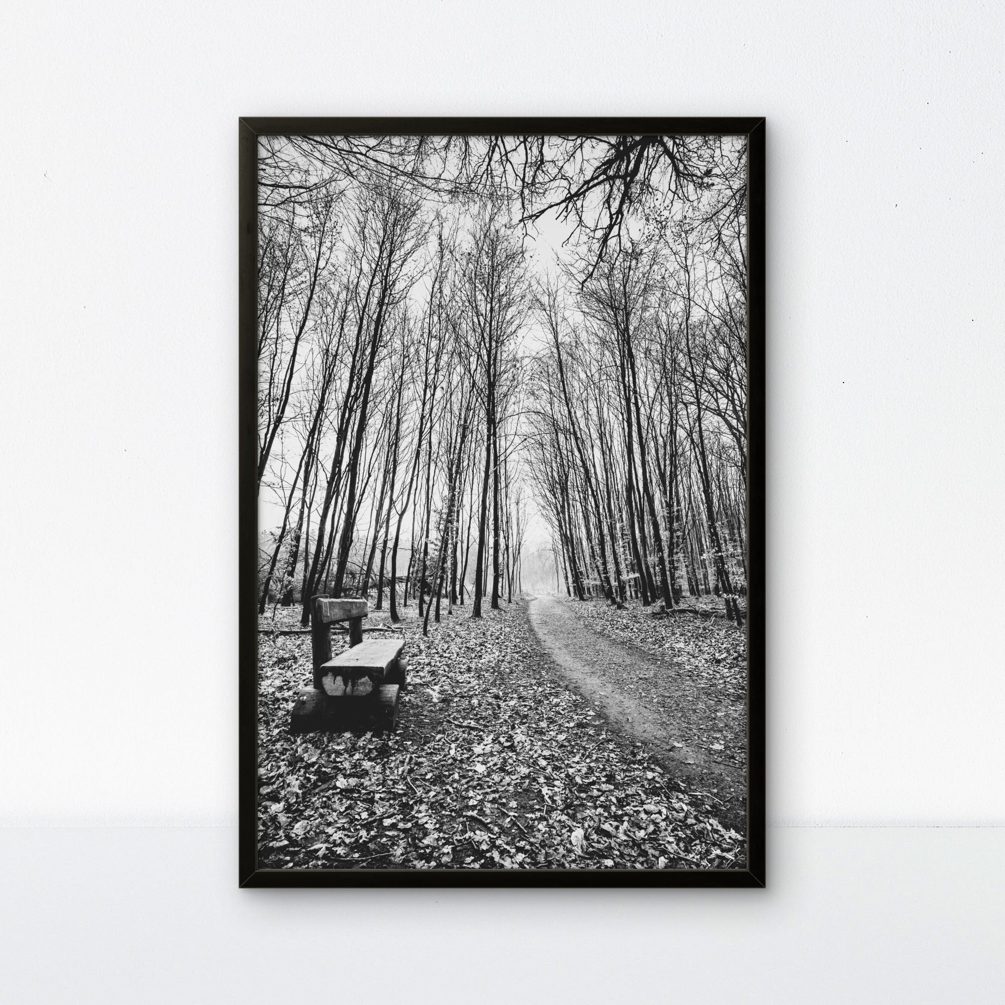 The Season of Letting Go