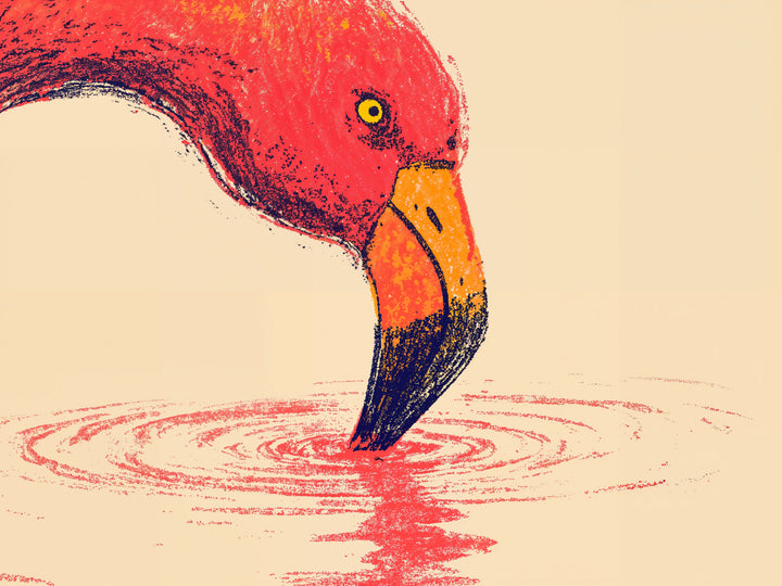 Crimson Beak Canvas