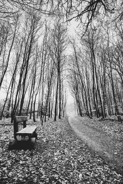 The Season of Letting Go