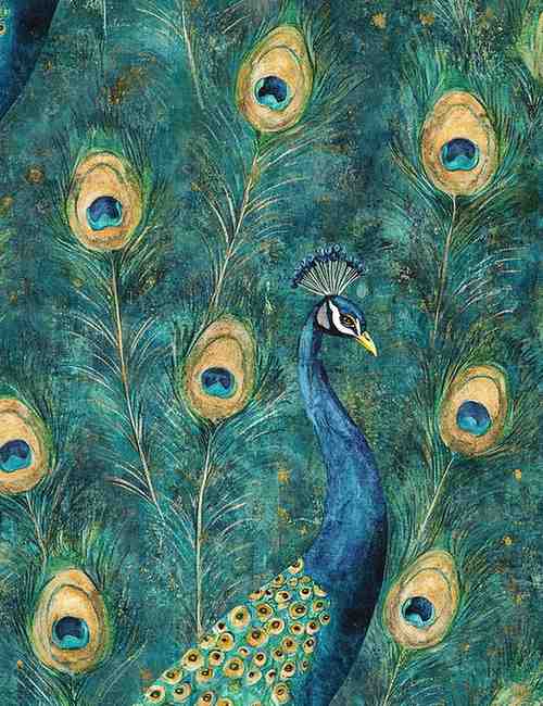 Dancing Peacock