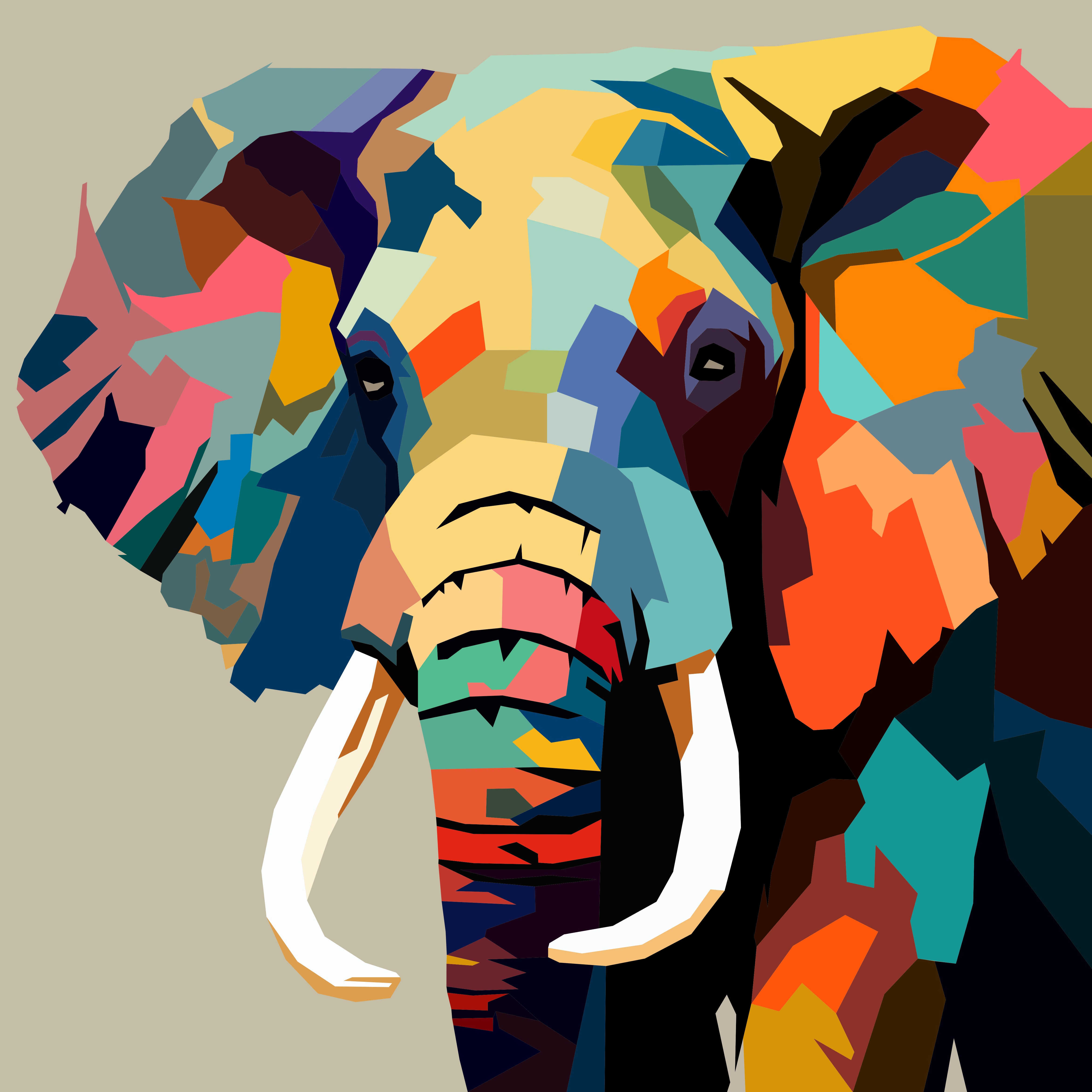 Vibrant Elephant Art